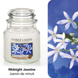MIDNIGHT JASMINE ( MEDIUM JAR )