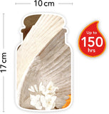 ANGEL WING ( LARGE JAR )