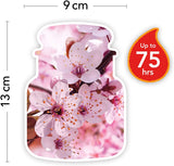 Cherry Blossom ( MEDIUM JAR )