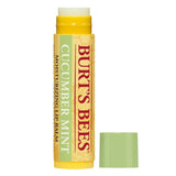 Burts Bees Cucumber Lip Balm