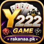 Y222 Game