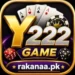 Y222 Game